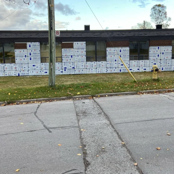 44 Milne Ave Niru Project Photo 04