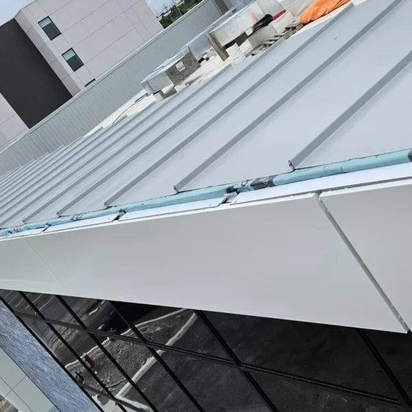 Dixie Road Mississauga Project Photo 02