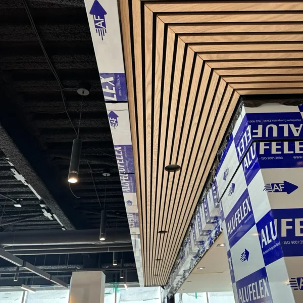 Enterprise Blvd Project Photo 05